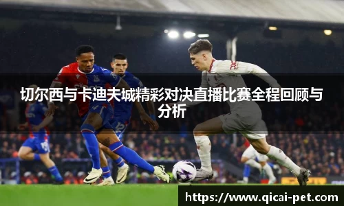 切尔西与卡迪夫城精彩对决直播比赛全程回顾与分析